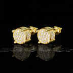 Iced AAA CZ Iced Earrings