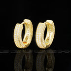 NEW ARRIVAL! 18K Gold-Plated Hip Hop AAA CZ  Earring