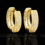 NEW ARRIVAL! 18K Gold-Plated Hip Hop AAA CZ  Earring