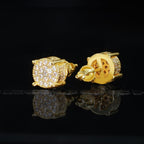 Iced AAA CZ Iced Earrings